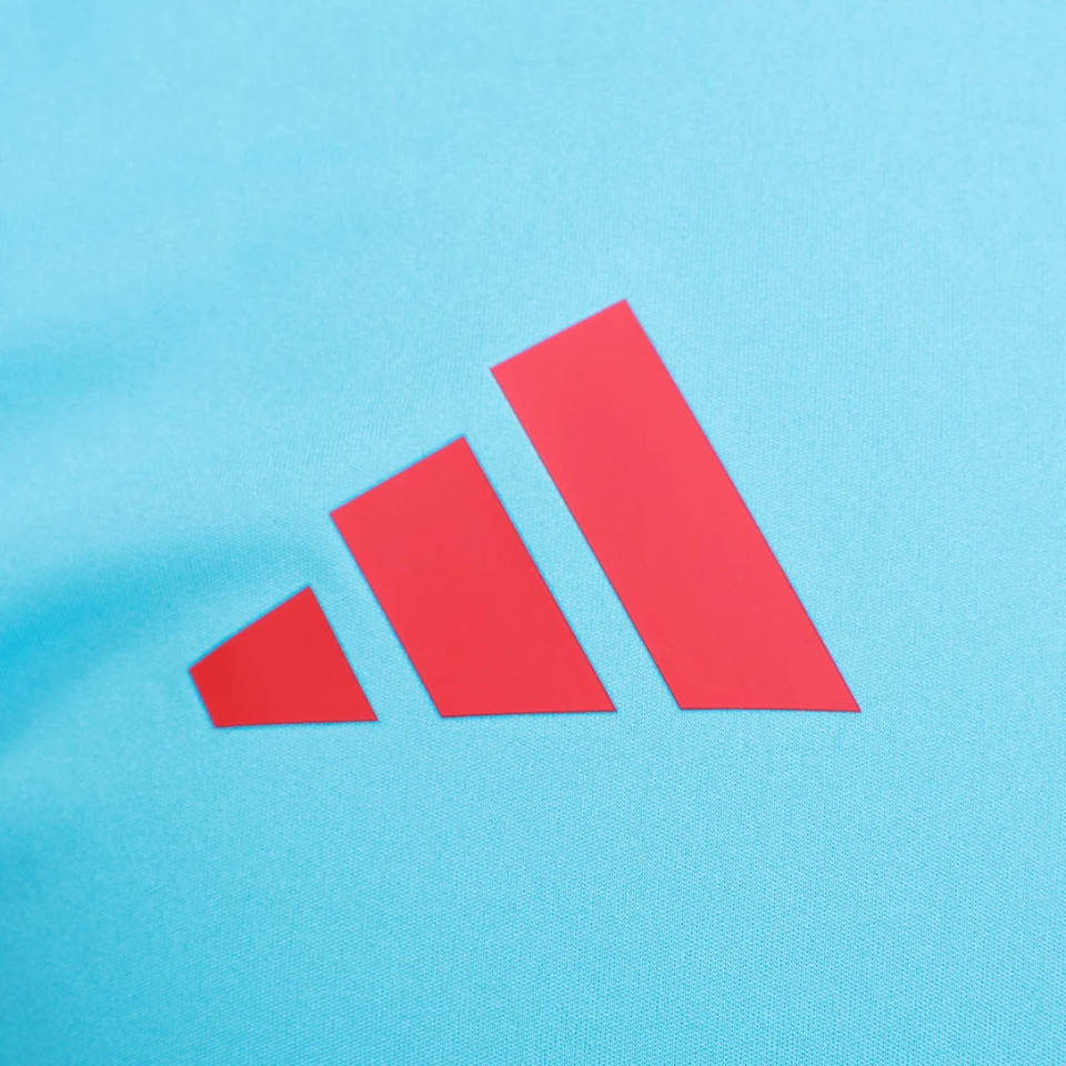 Camisa Adidas Treino Flamengo 2025/26-Veste a Paixão