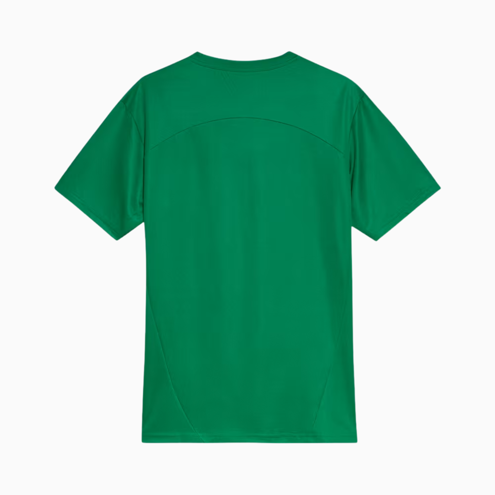 Camisa Palmeiras 2025 – Treino-Veste a Paixão