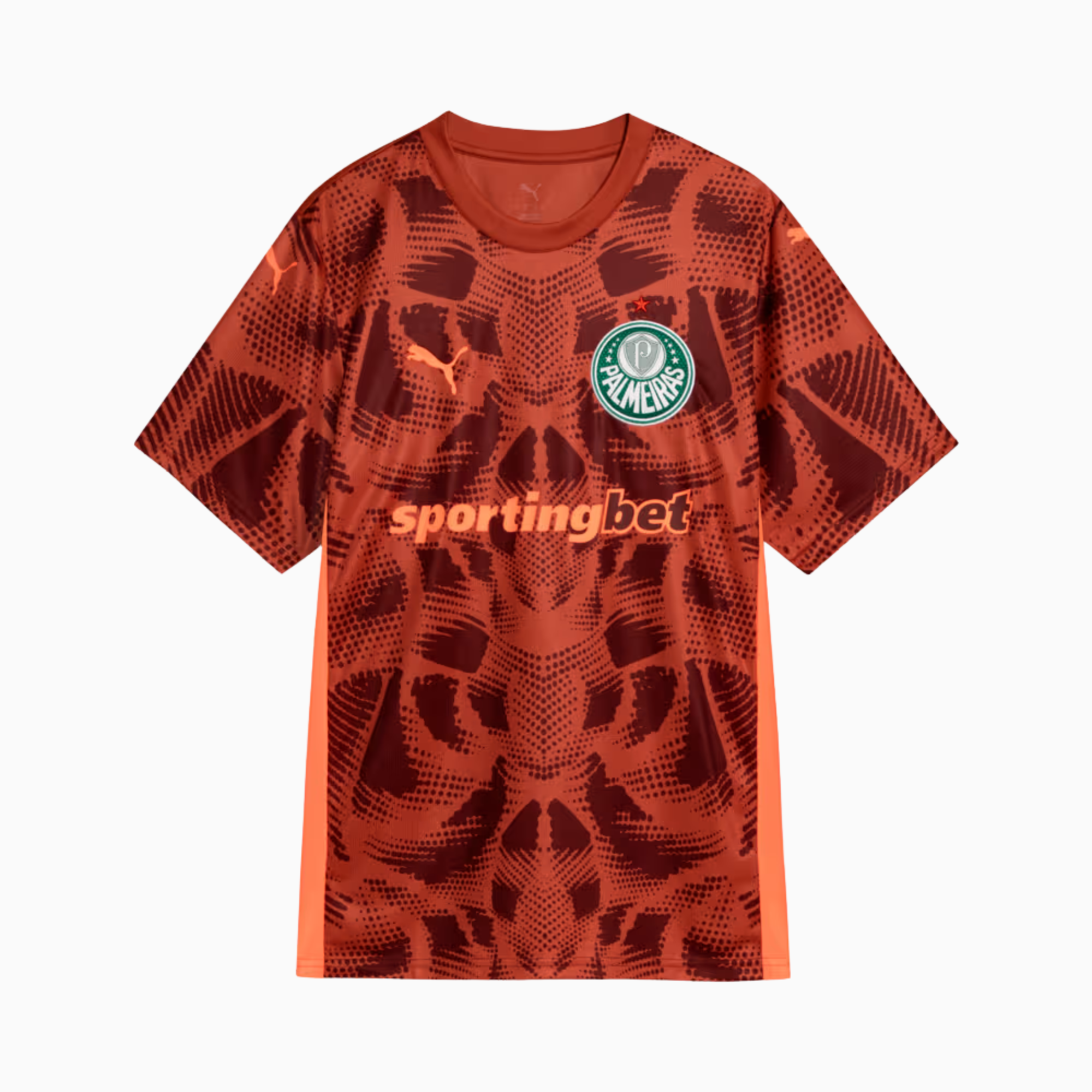 Camisa Goleiro Palmeiras 2025/26 II – Torcedor-Veste a Paixão