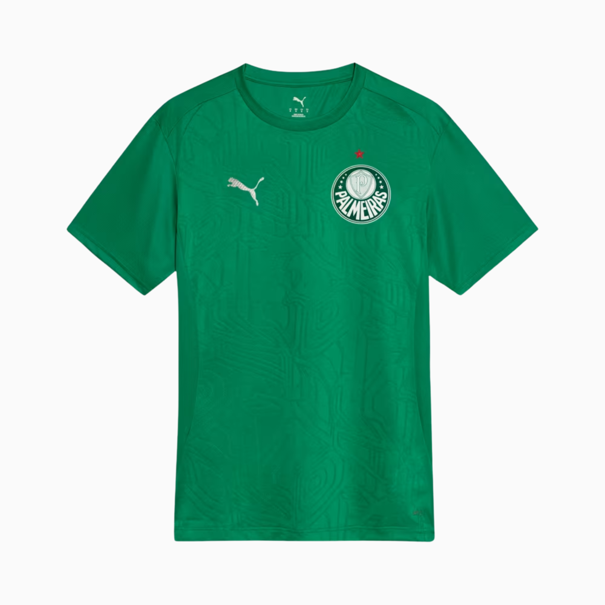 Camisa Palmeiras 2025 – Treino-Veste a Paixão
