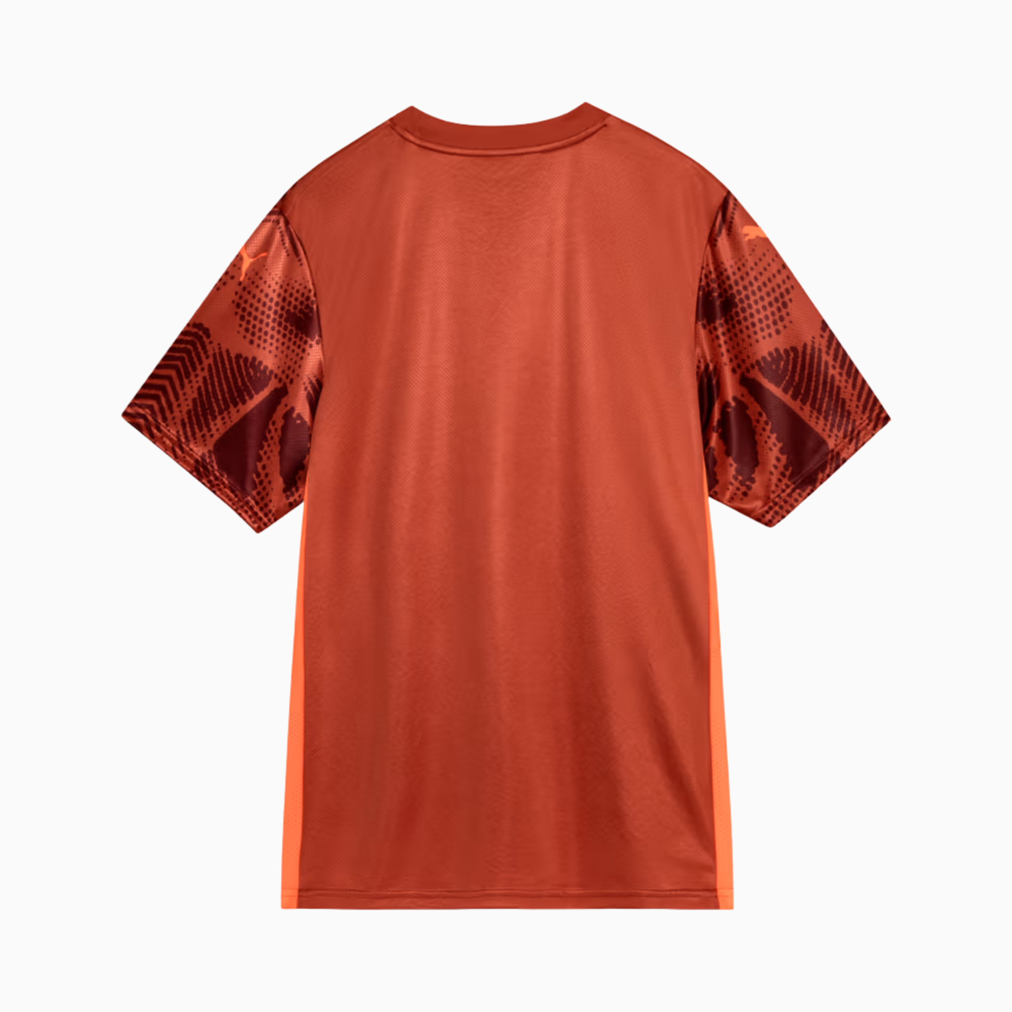 Camisa Goleiro Palmeiras 2025/26 II – Torcedor-Veste a Paixão