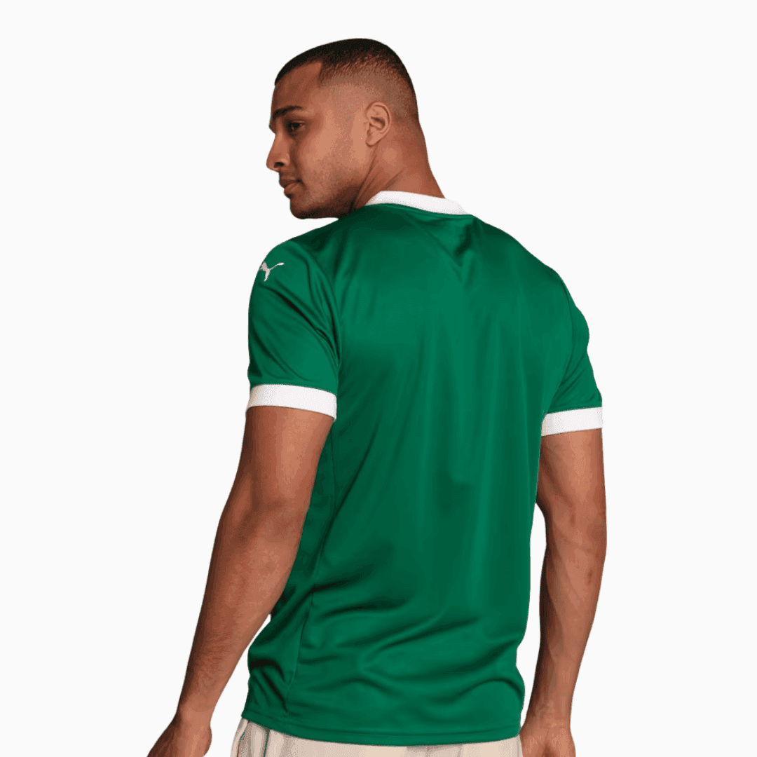 Camisa Puma Palmeiras 2025/26 I Torcedor-Veste a Paixão