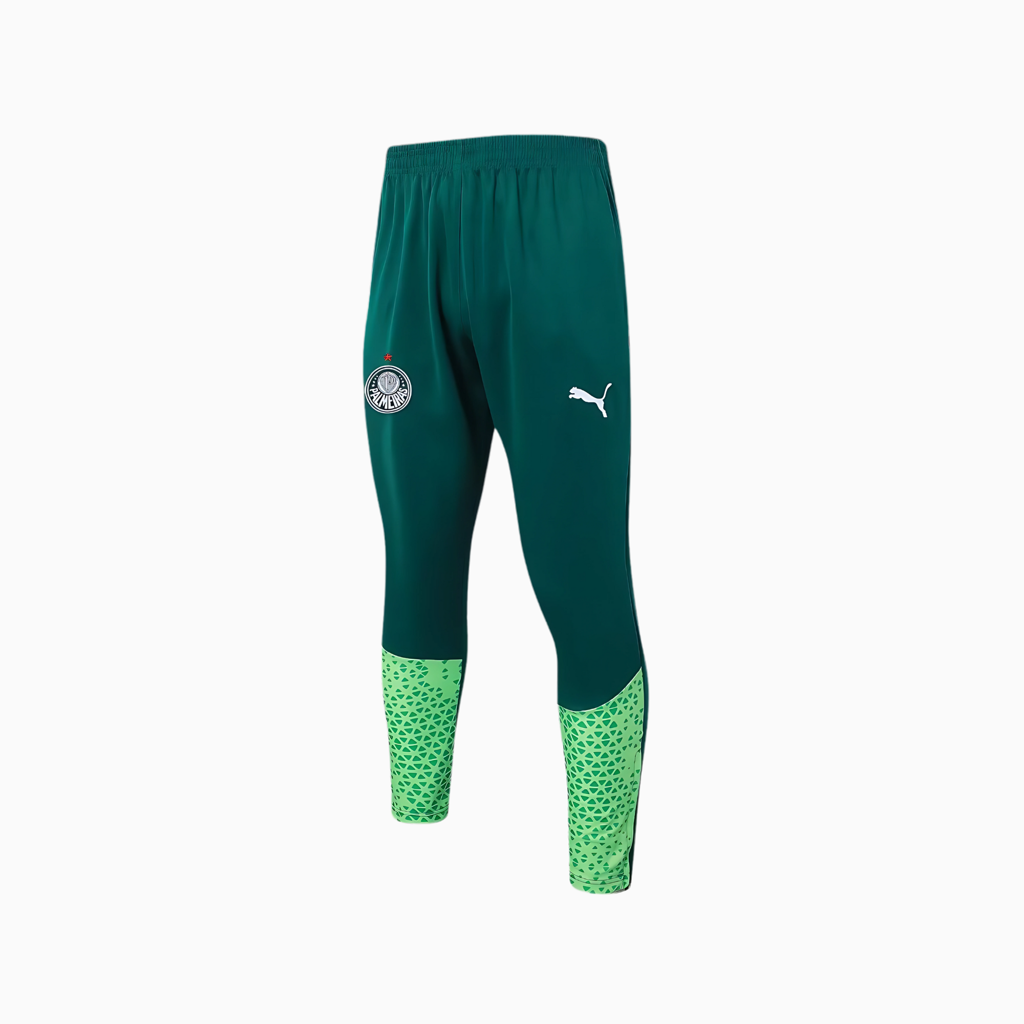Conjunto de Treino Puma Palmeiras 2024/25 II – Masculino-Veste a Paixão