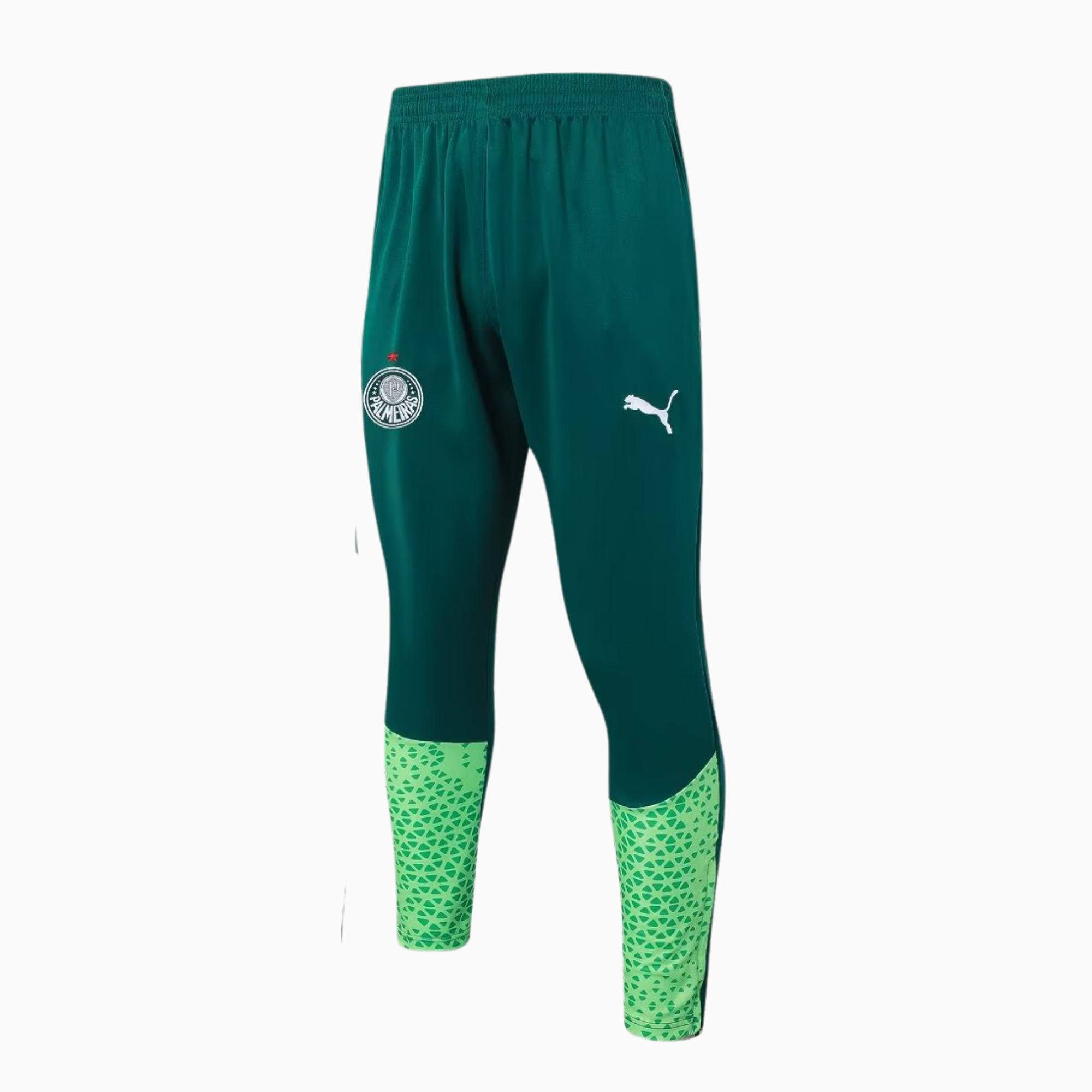 Conjunto de Treino Palmeiras 2024/25 I – Masculino-Veste a Paixão