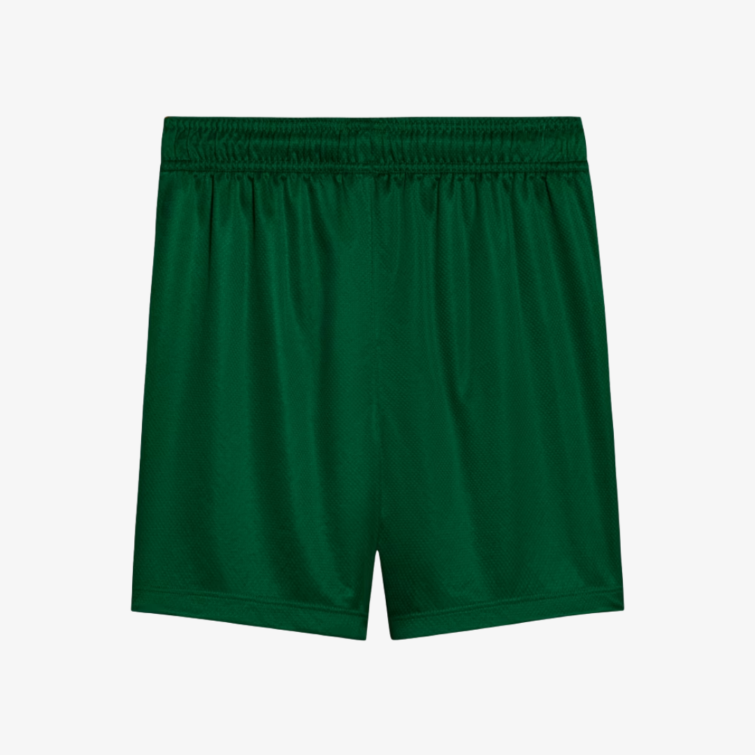 Conjunto Infantil Puma Palmeiras 2025/26 II-Veste a Paixão