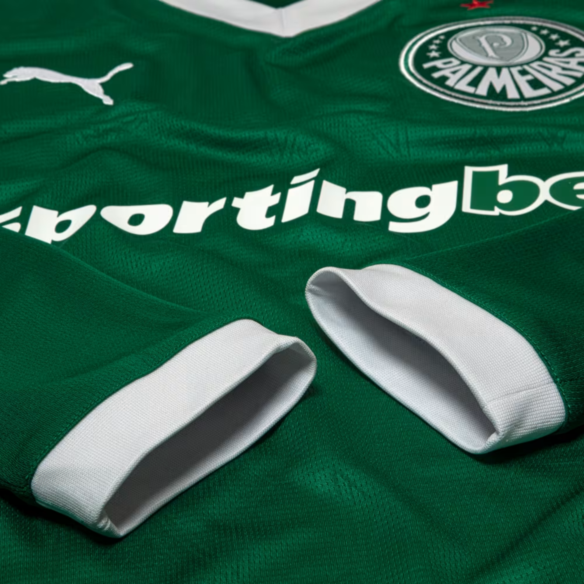 Camisa Puma Palmeiras Manga Longa 2025/26 I Torcedor-Veste a Paixão