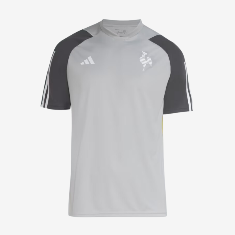 Camisa Adidas Atlético Mineiro Treino 2024-Veste a Paixão